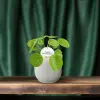Pilea Peperomioides - Ø13cm - ↕20cm - Afbeelding 6